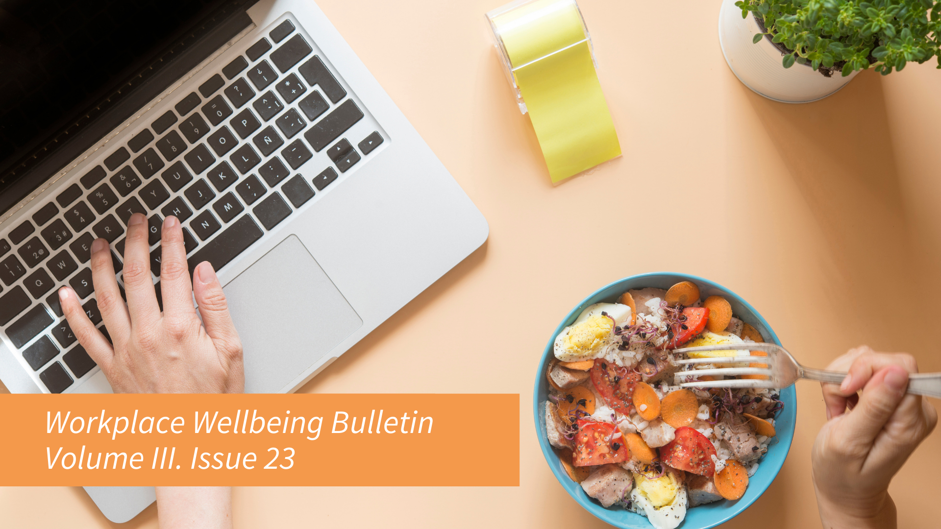 Workplace Wellbeing Bulletin 2024, issue 23, physical wellbeing, emotional wellbeing, occupational wellbeing, social wellbeing, financial wellbeing, spiritual wellbeing, Workplace harassment, Mood harassment, misconduct complaints, Physical well-being, maternity harassment Workplace mental health, Zhiqing Zhou, Lawanda Lewis, Emotional well-being AI at work, BYOAI, Workplace transformation, Artificial intelligence trends, Occupational well-being Lunch break, Workplace freedom, Gig economy, Social well-being, Employee habits Health insurance rules, IRDAI, Cashless authorisation, Financial well-being, Insurance claims Time blocking, Burnout, Jeff Bezos, Spiritual well-being
